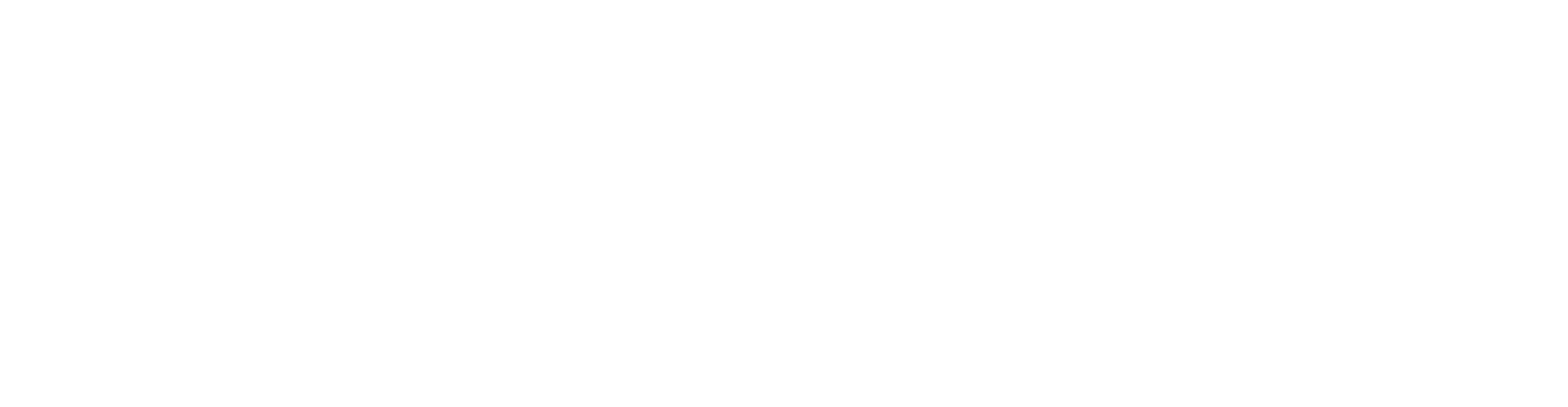 Next Level Logo-Horizontal-White